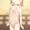 連休の思い出