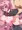 立ちバックうさだヒカル