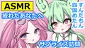 【サムネ】ずんだもんと四国めたんが癒してくれる