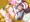 メイちゃん(ポケマスEX)