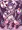 新米退魔巫女VS触手妖魔