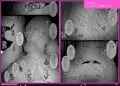 異種姦風俗街(5) ふたなりロリの筆おろし withサキュバス