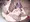 酒呑ちゃん