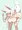 オイナリサマ