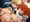 FGO