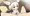 お仕事fnk