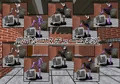 二次元クィーンロード 四宮かぐや編