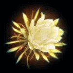 gekka-bijin