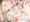 最近気になるコ