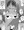 うさぎぽーち ダウンロード版 開始しました