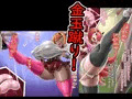 【ドM向け】金玉潰し大好きJ○姉妹! ~何度も金玉潰して奴○調教します~