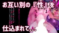 メス堕ち勇者とオス堕ち従者