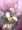 対魔忍ながもん