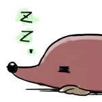 おひえんしす