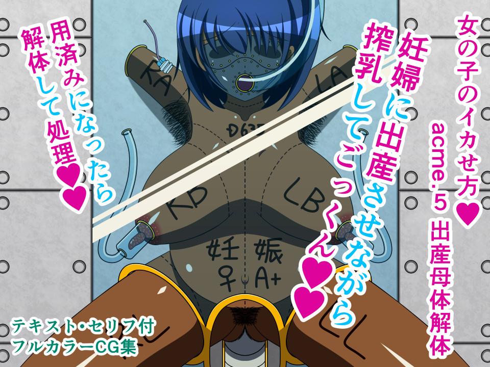 女の子のイカせ方 acme.5 出産母体解体