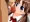宣伝がてら