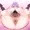 skeb