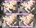 はいきょの蟲○なつやすみ ~ぷにあな〇学生・ゆずきちゃんの子宮ふうせん割り~