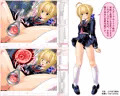 変態コスプレ剣士ネロ ~美少女剣士が制服や水着姿で、蟲や触手に犯され出産する、変態着せ替え集~