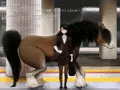 動物ラブ