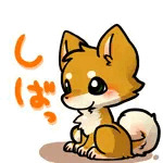 柴萌(雌狼)