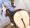 黒レン