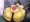 Skeb20230602