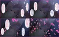 家無しムスメは俺の嫁~はちにんめ~
