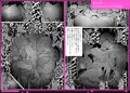 ゴブリン軍団×女エルフ