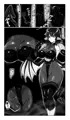 【同人販売開始】vol.16 強制雄雌進化編 淫魔導生物リブリア