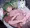 夜のンンちゃん