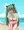 海