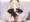 魔界ノりりむ 足コキ④