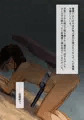 地上の階下~豚・馬との交配、及び着床の実験報告~