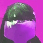 CLONE海豚