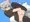しっぽがおおいさんのほん1