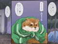台風レ○プ びしょ濡れJ○&シスター姉妹