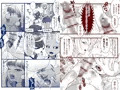 【新刊】ふた島にじゅうし節気