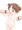 ぺどおしゃぶり