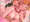 ゼルダ姫(スマブラSP)