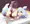 椛ちゃんぐりぐり