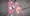 魔法少女VSでっかい触手