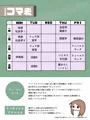 性春大学パンフレット