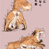 野生に戻れなくなった狐 野生に戻れなくなった狐