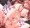 孕んだみたいなので失神するまで愛してみた