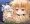 けもろりおなほこき