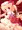 ふにゃんにゃん