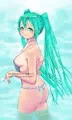 ふんどしミク
