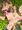 サナちゃん可愛すぎ問題