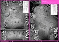 ゴブリン軍団×女エルフ